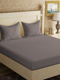Myntra Elegant Homes Grey Solid Flat 300 TC King Cadar Dengan 2 Sarung Bantal