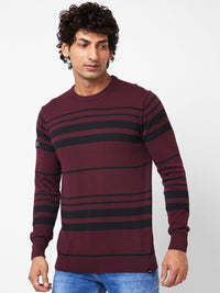 SPYKAR Striped Ribbed Cotton Pullover Sweater