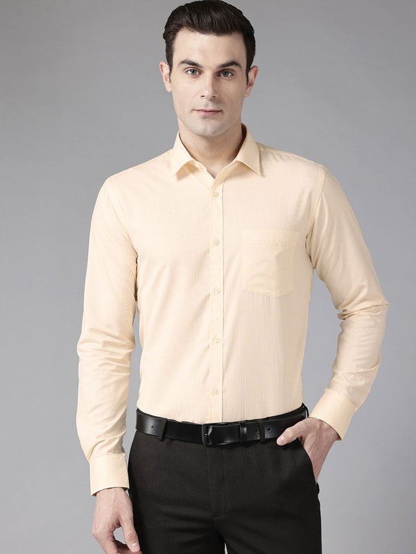 Park Avenue Slim Fit Micro Checks Formal Shirt