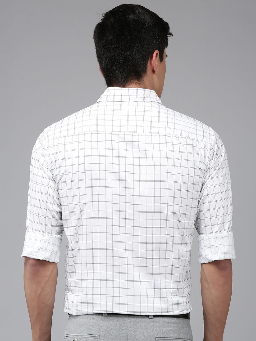 Park Avenue Slim Fit Checked Pure Cotton Formal Shirt