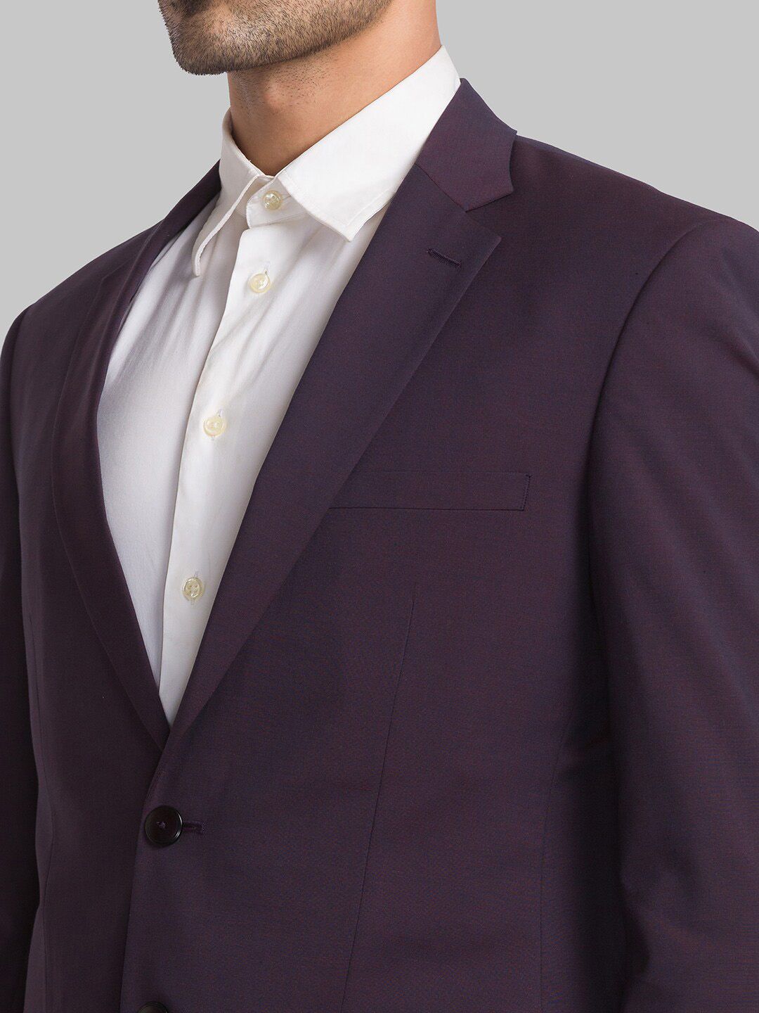 Raymond Men Single Breasted Two Piece Formal Suit
