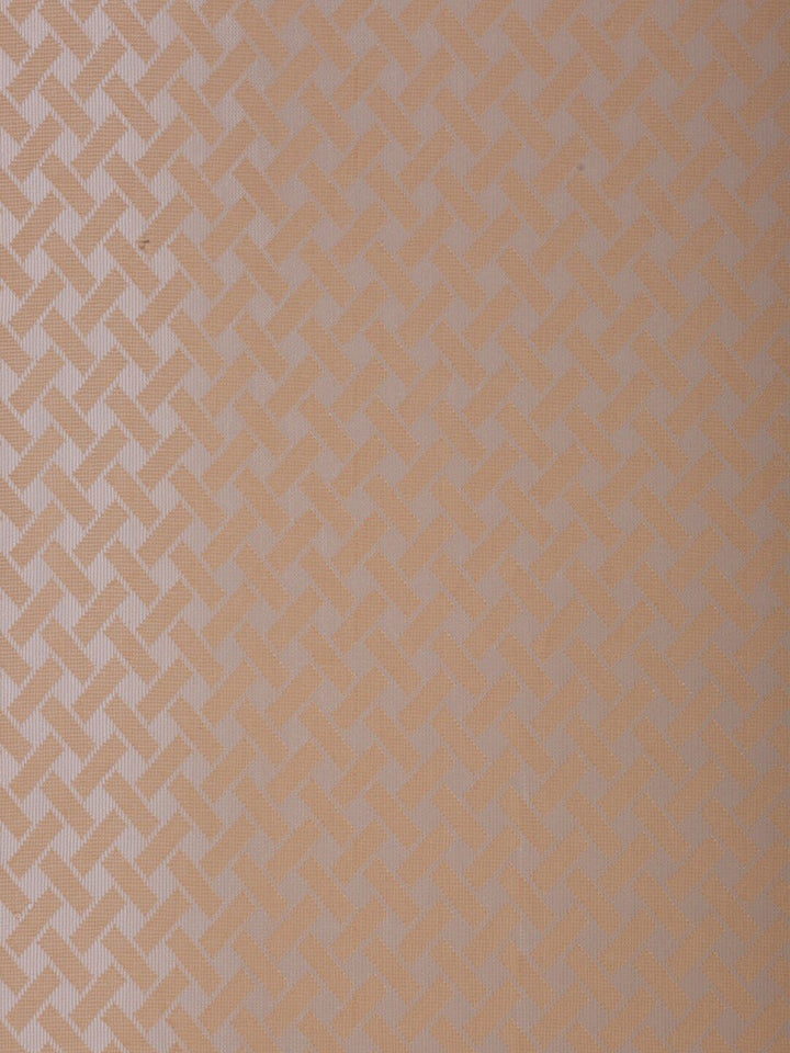 HOSTA HOMES Beige Geometric Door Curtain