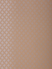 HOSTA HOMES Beige Geometric Door Curtain