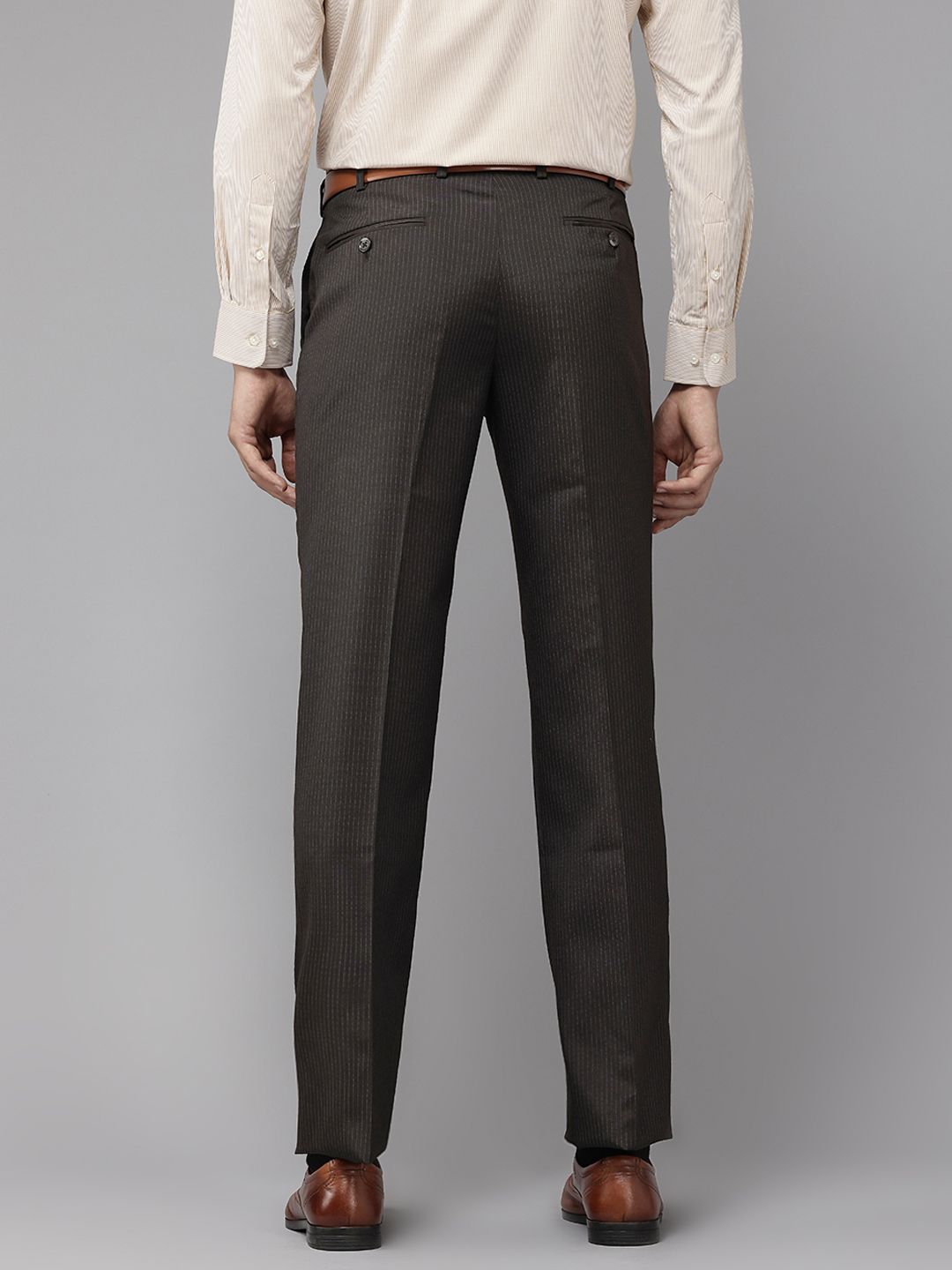 Park Avenue Men Striped Formal Trousers