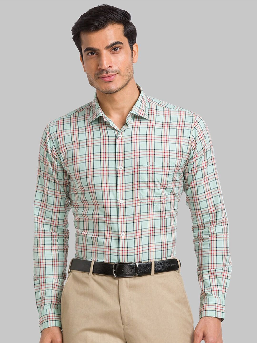 Park Avenue Slim Fit Checked Pure Cotton Formal Shirt