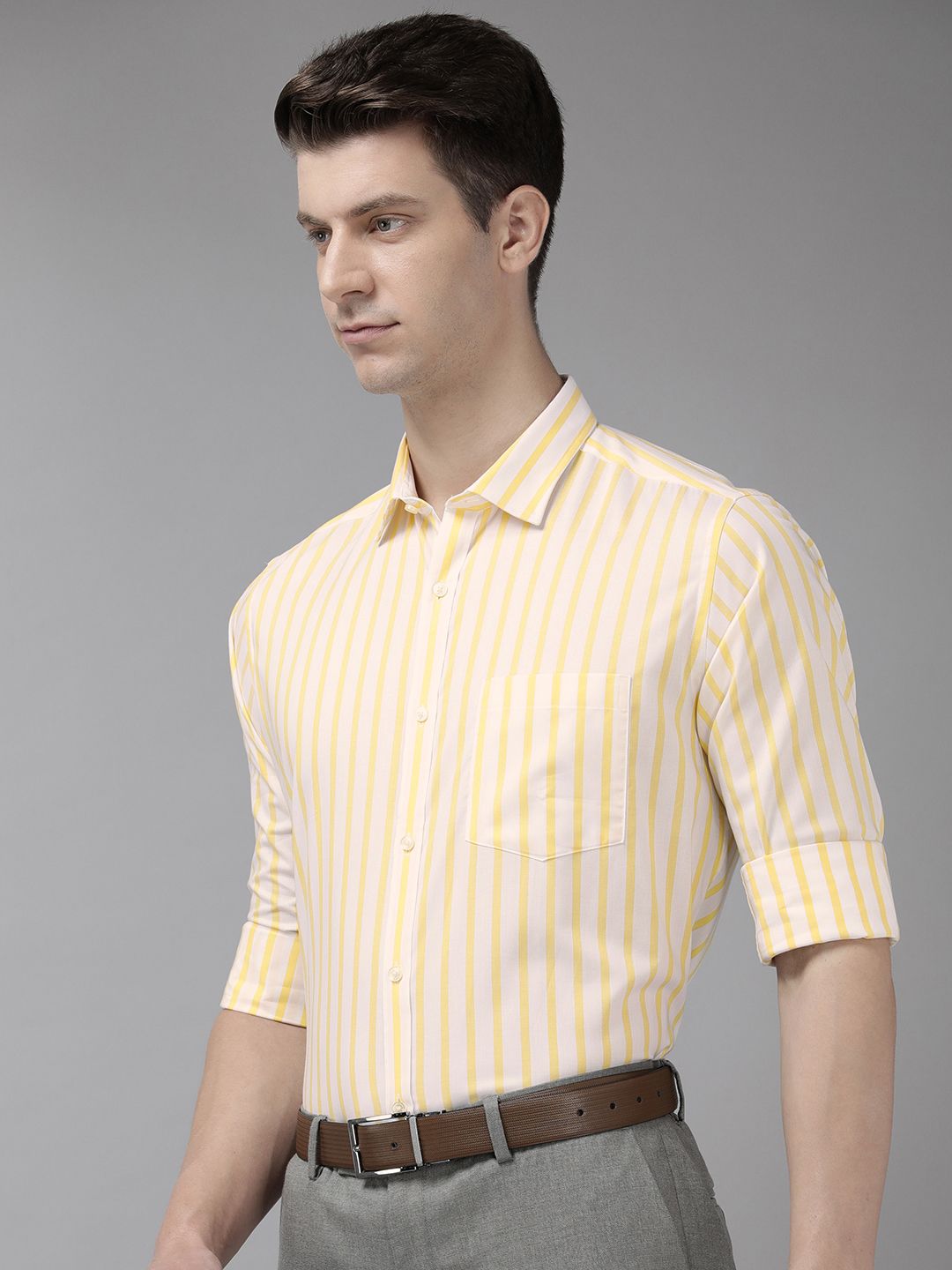Park Avenue Pure Cotton Slim Fit Striped Formal Shirt