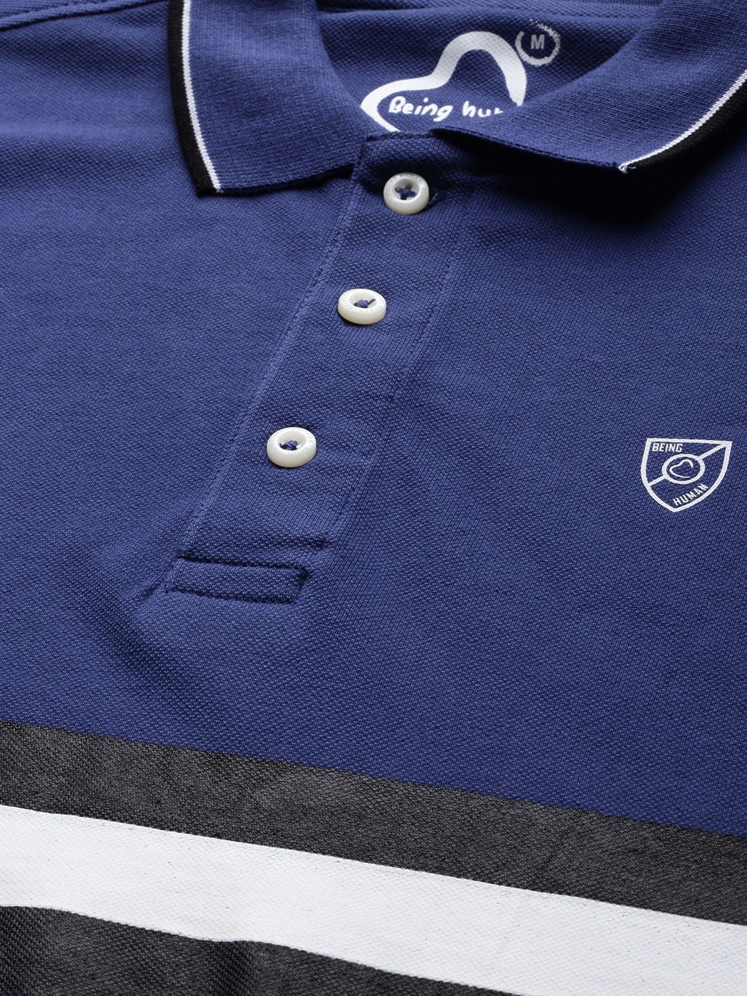 Being Human Clothing Men Blue  Black Striped Polo Collar Pure Cotton T-shirt with Tipping Detail