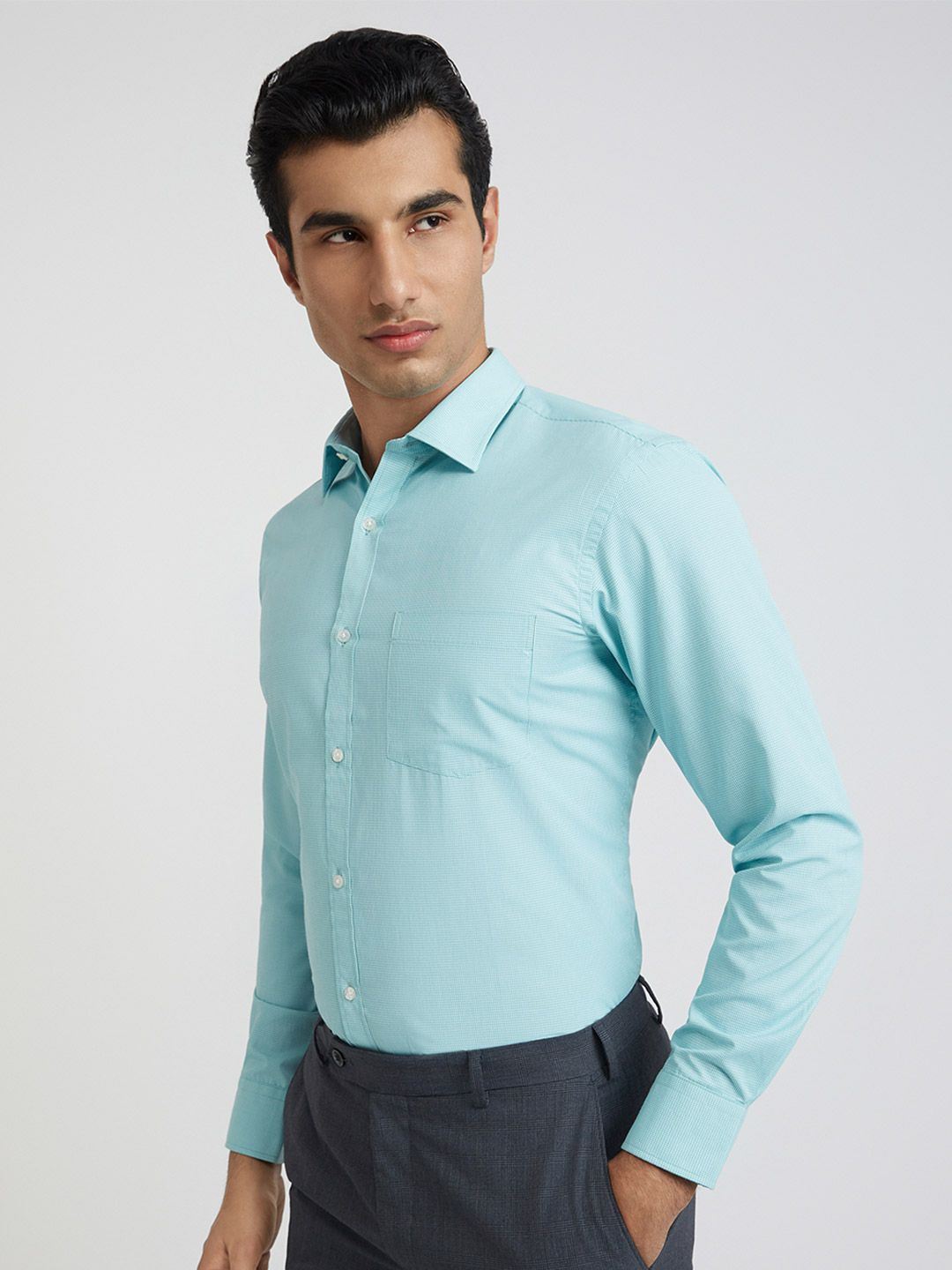 Park Avenue Slim Fit Micro Checks Opaque Formal Shirt