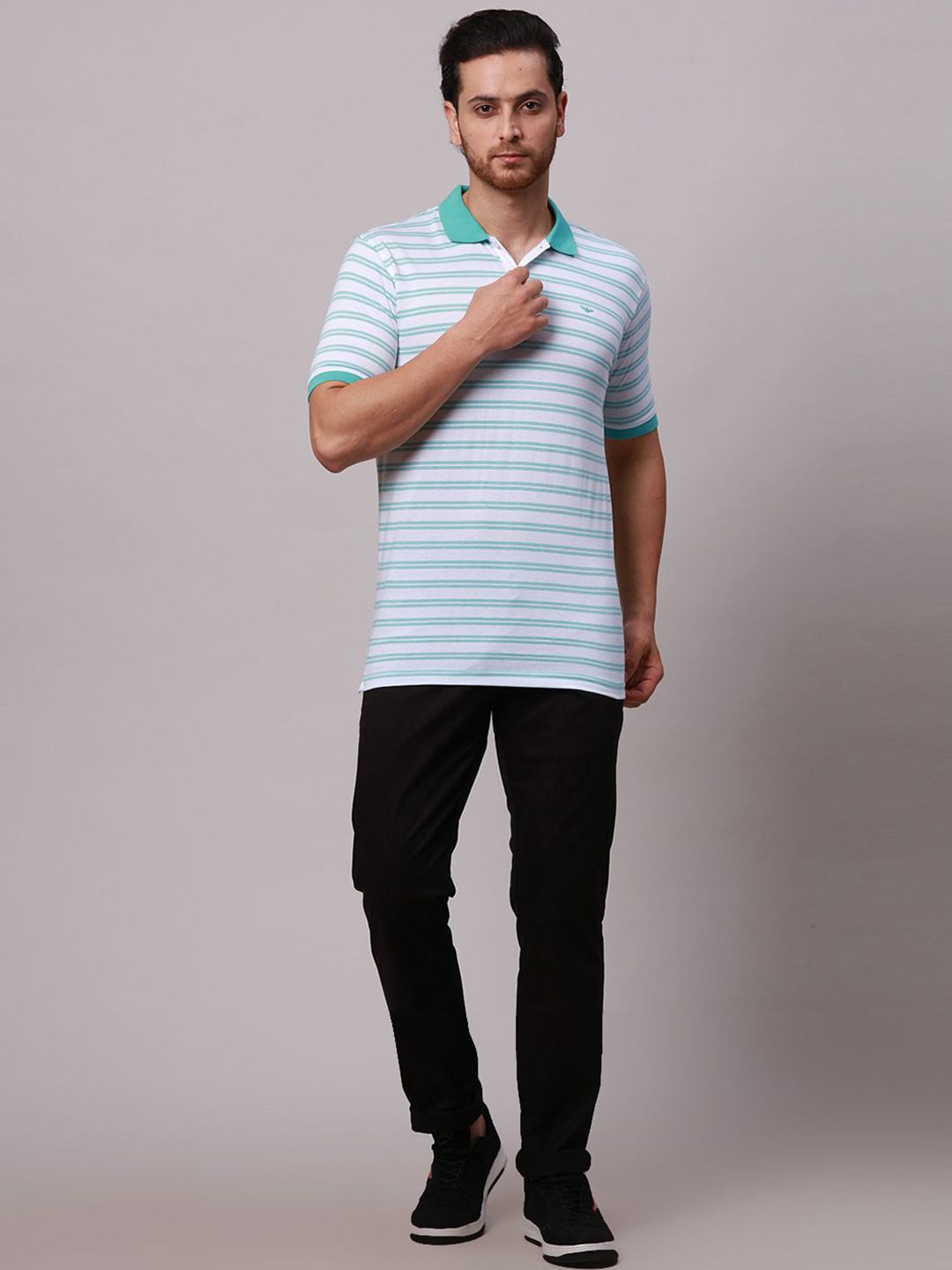 Park Avenue Men Striped Polo Collar Pockets Slim Fit T-shirt