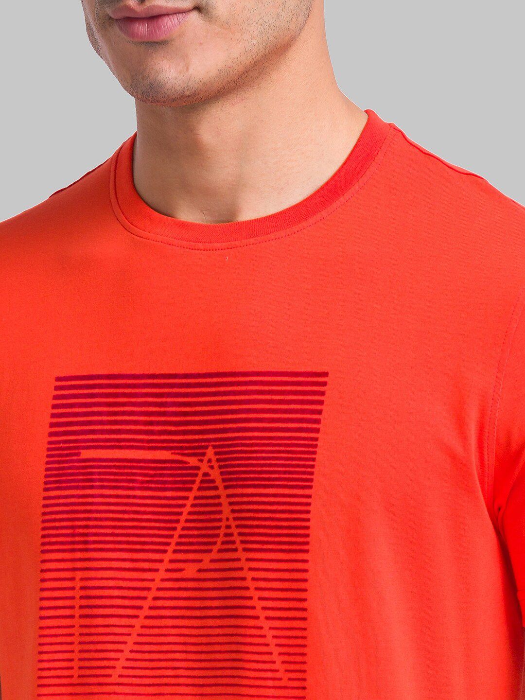 Park Avenue Geometric Printed Slim Fit T-Shirt