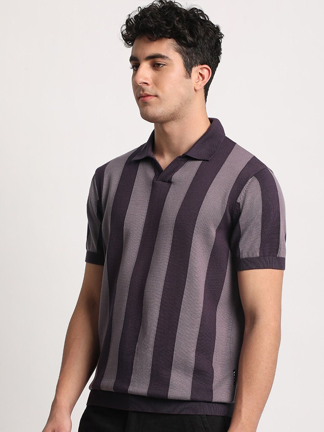 THE BEAR HOUSE Men Striped Regular Fit Cotton Polo Collar T-Shirts