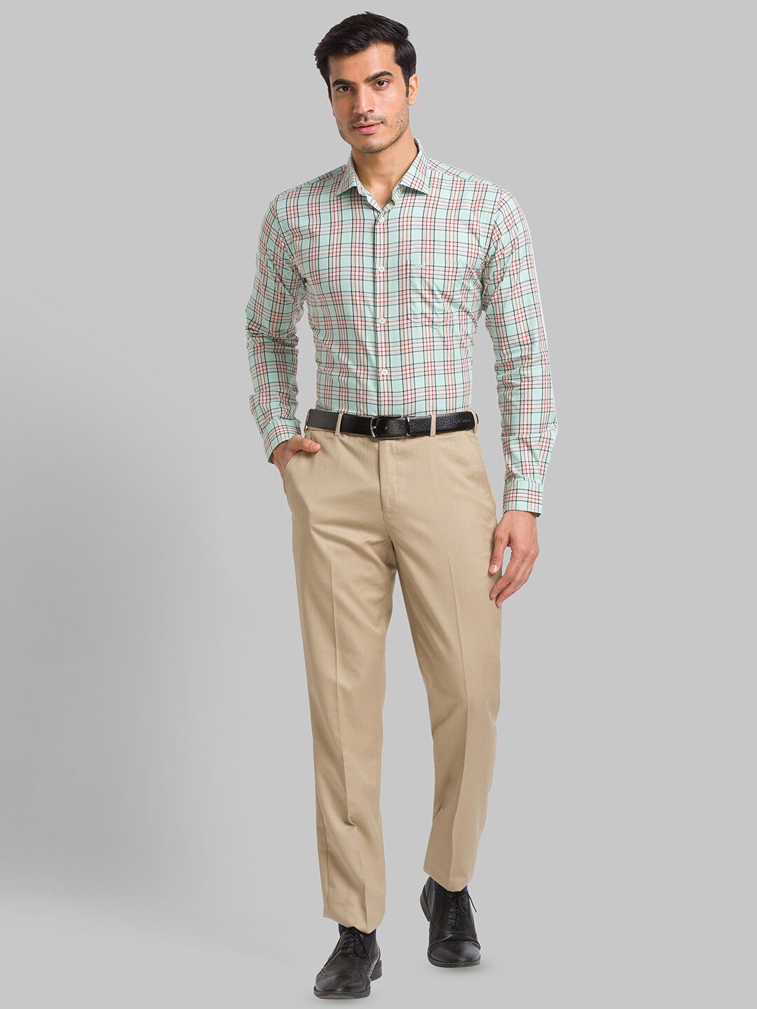 Park Avenue Slim Fit Checked Pure Cotton Formal Shirt