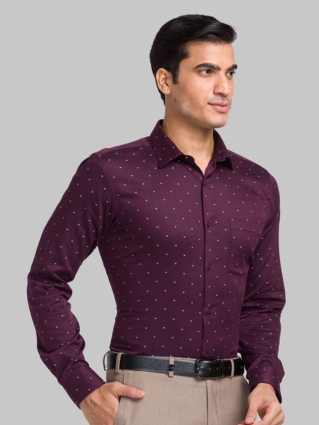 Park Avenue Printed Cotton Opaque Formal Shirt