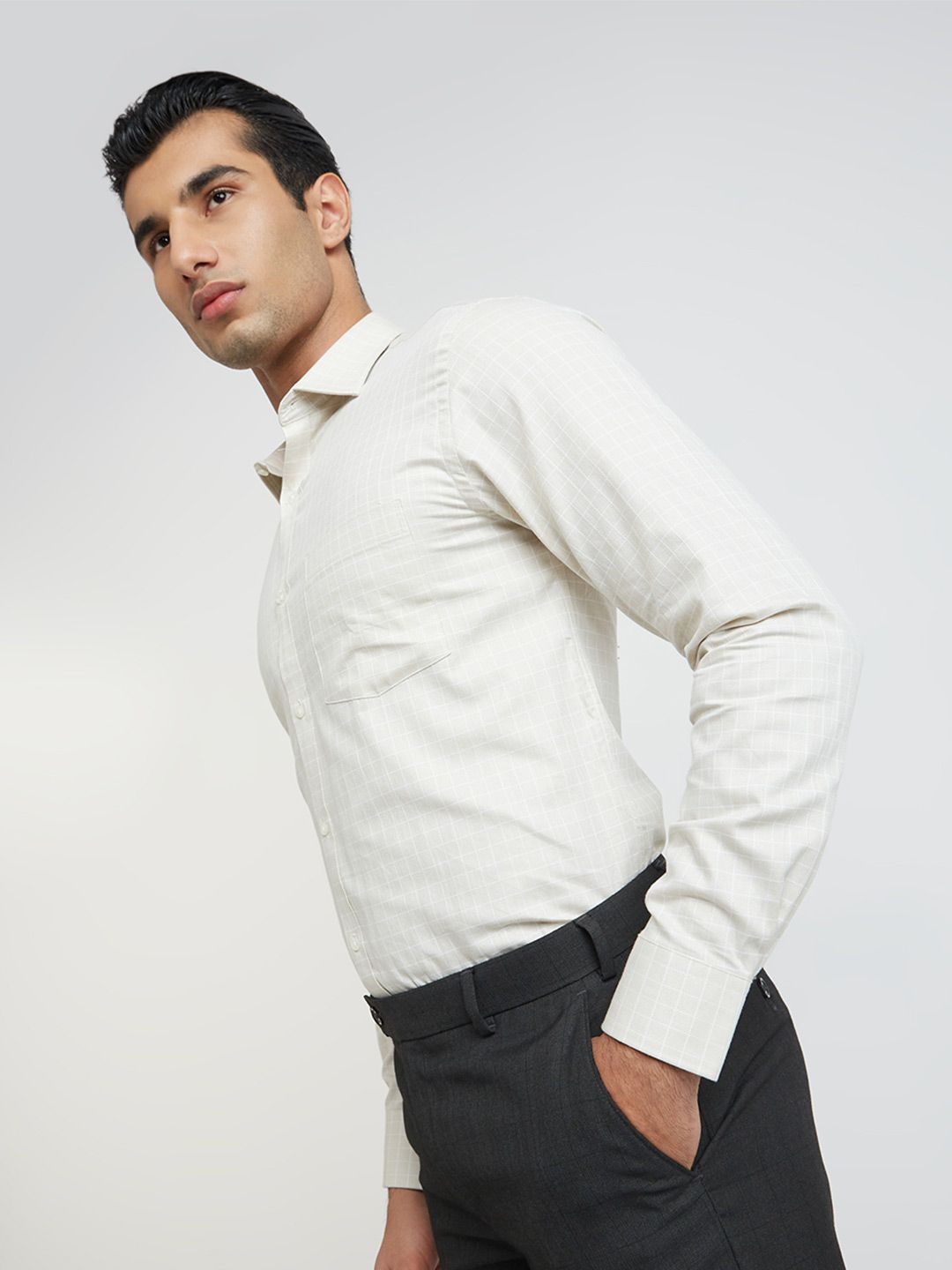 Park Avenue Slim Fit Windowpane Checked Formal Shirt