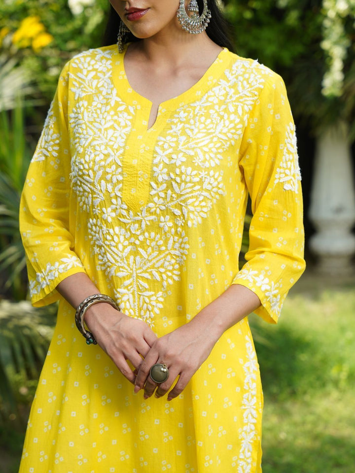 House of Chikankari Women Printed Cotton Chikankari Kurta