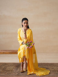 House of Chikankari Women Yellow Rayon Chikankari Embroidered Kurta Set