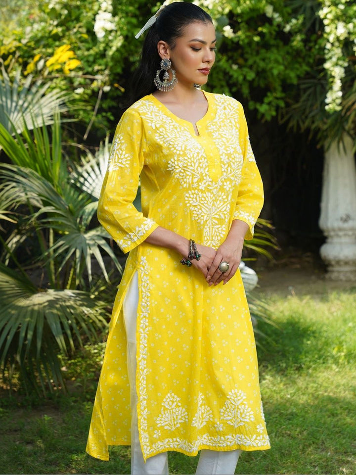 House of Chikankari Women Printed Cotton Chikankari Kurta