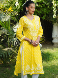 House of Chikankari Women Printed Cotton Chikankari Kurta