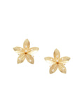 Anouk Gold-Plated Floral Shaped Studs