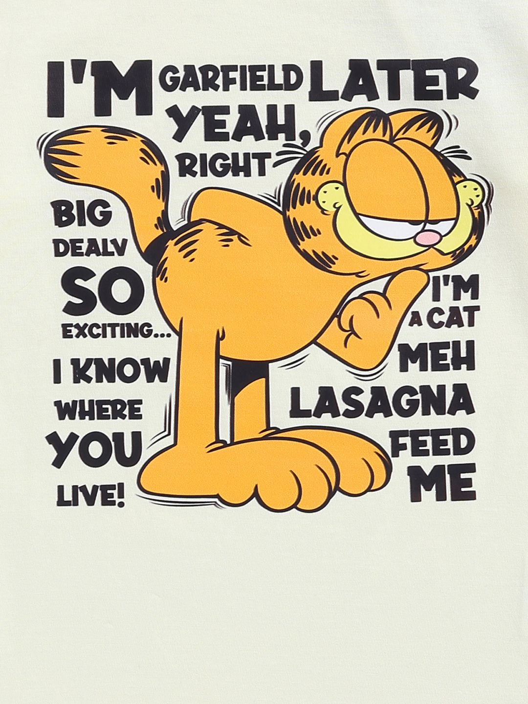 Happy Faces Boys Garfield Printed Pure Cotton T-shirt