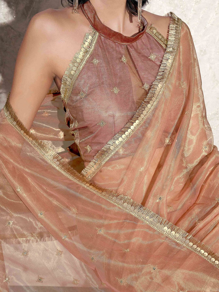 Tikhi Imli Ethnic Motifs Sequinned Net Saree