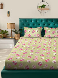 Myntra Elegant Homes Green Printed Pure Cotton 400TC Fitted King Bedsheet Set 2.5m X 2.25m