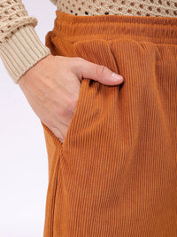 The Indian Garage Co Men Textured Tapered Fit Pleated Joggers