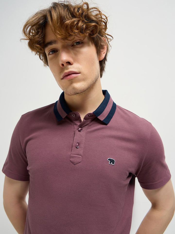 THE BEAR HOUSE Men Solid Polo Collar Pure Cotton T-shirt