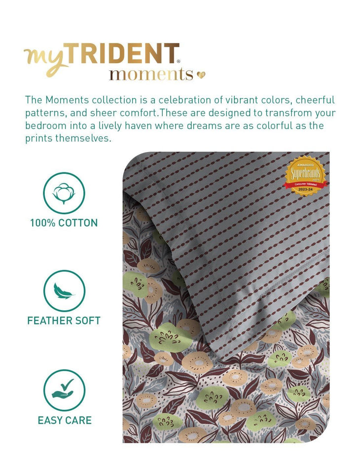 MYTRIDENT Jasmine Brown Moments Flat 120TC Queen Cotton 1 Bedsheet with 2 Pillow Covers