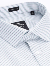 Park Avenue Slim Fit Pure Cotton Striped Formal Shirt