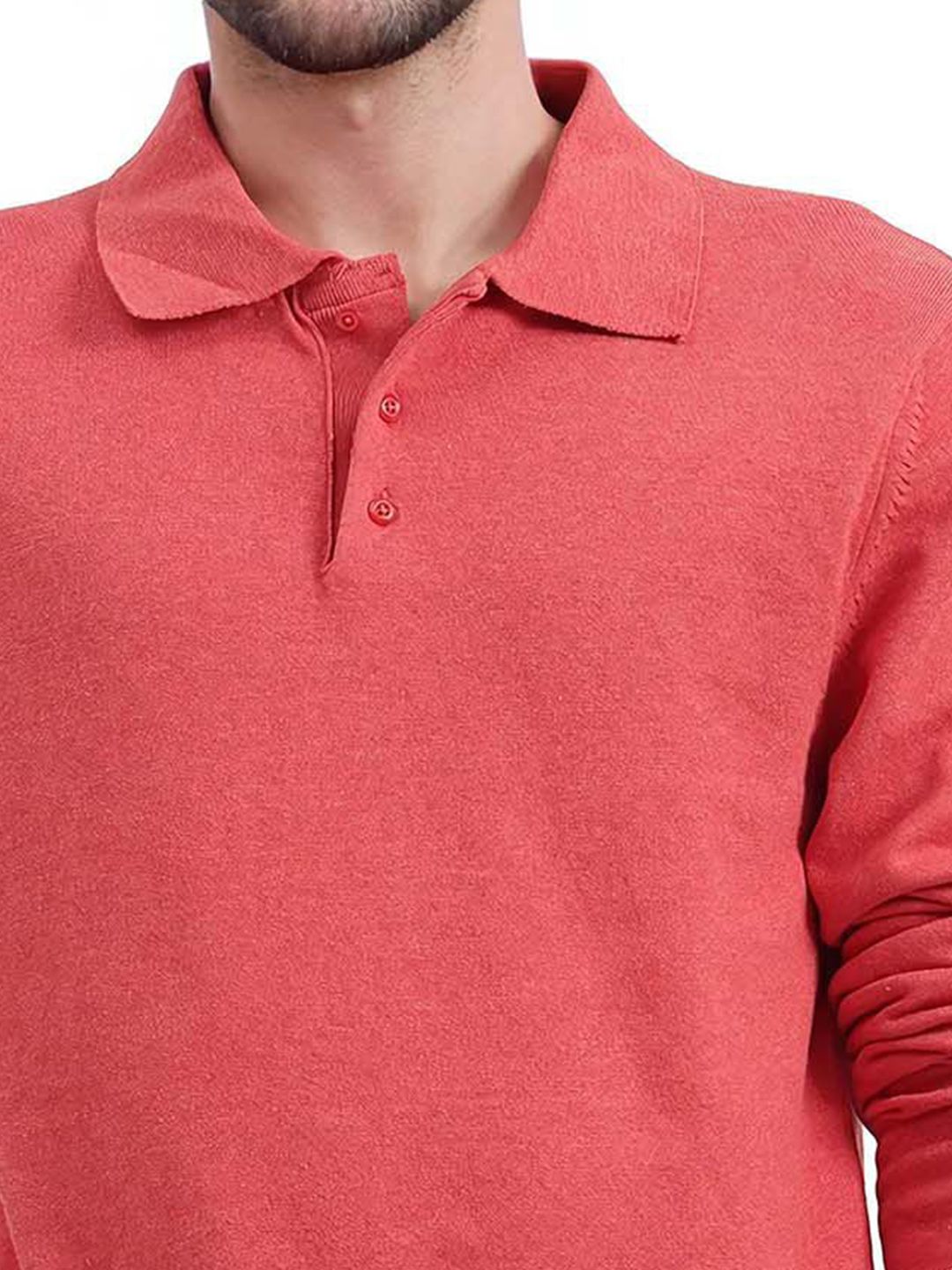 RARE RABBIT Men Pure Cotton Polo Collar T-shirt
