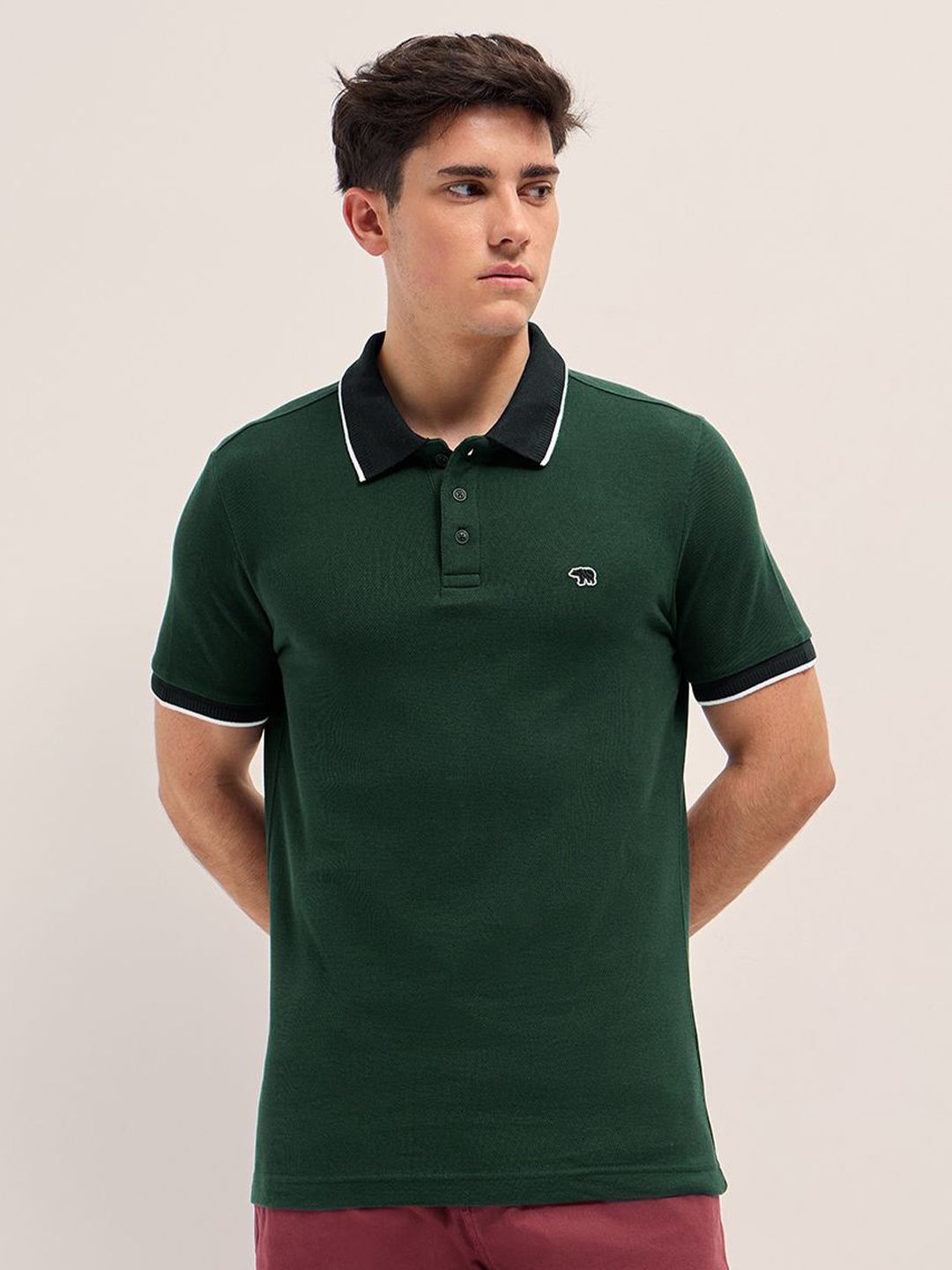 THE BEAR HOUSE Men Solid Polo Collar Cotton T-shirt