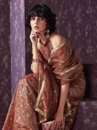 Tikhi Imli Embellished Sequinned  shimmer net saree with sequence embroidery