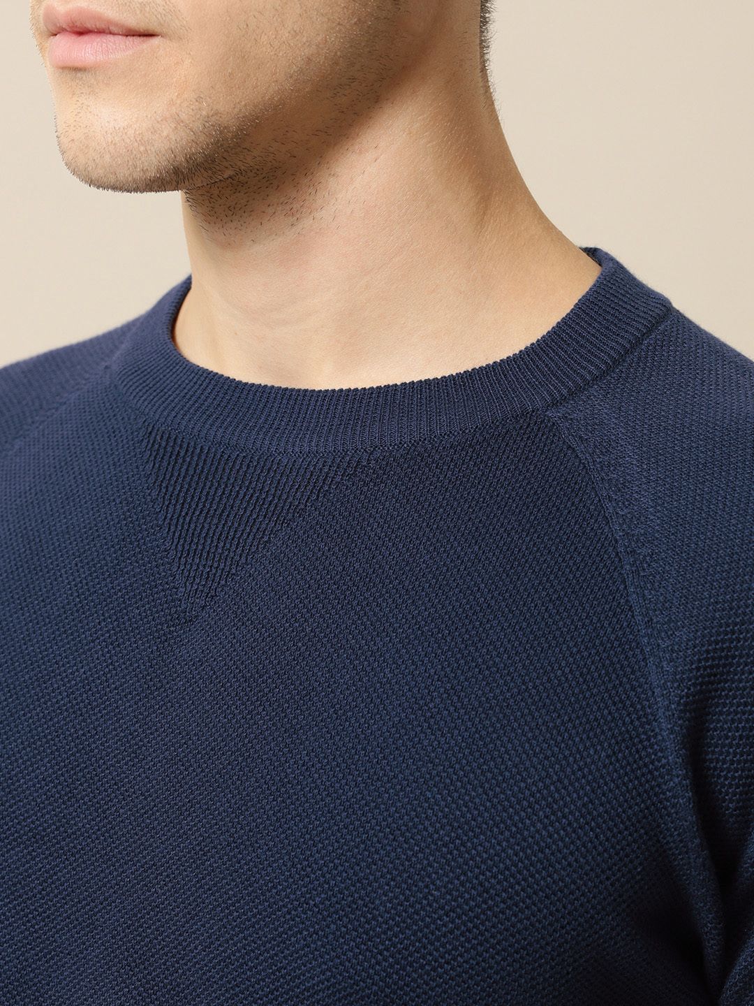 Mr Bowerbird Men Navy Blue Solid Tailored Fit Round Neck Sweater Pure Cotton T-shirt
