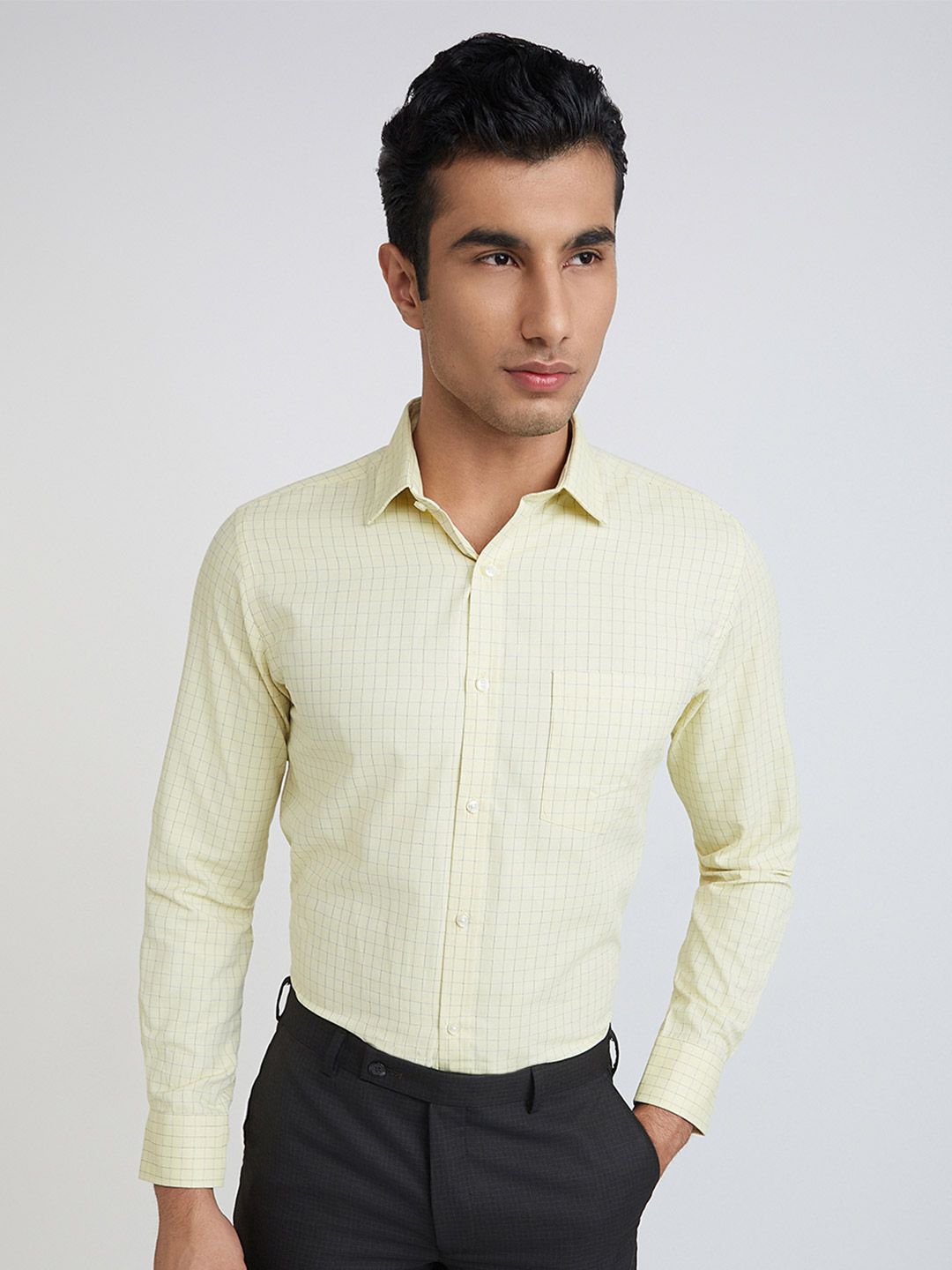 Park Avenue Slim Fit Grid Tattersall Checks Opaque Formal Shirt