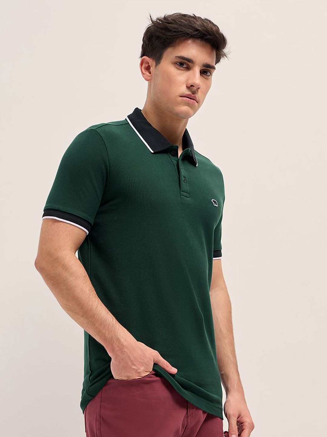 THE BEAR HOUSE Men Solid Polo Collar Cotton T-shirt