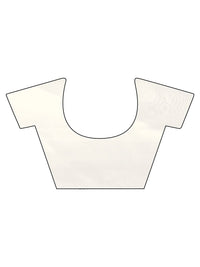 Tikhi Imli Embellished Sequinned Saree