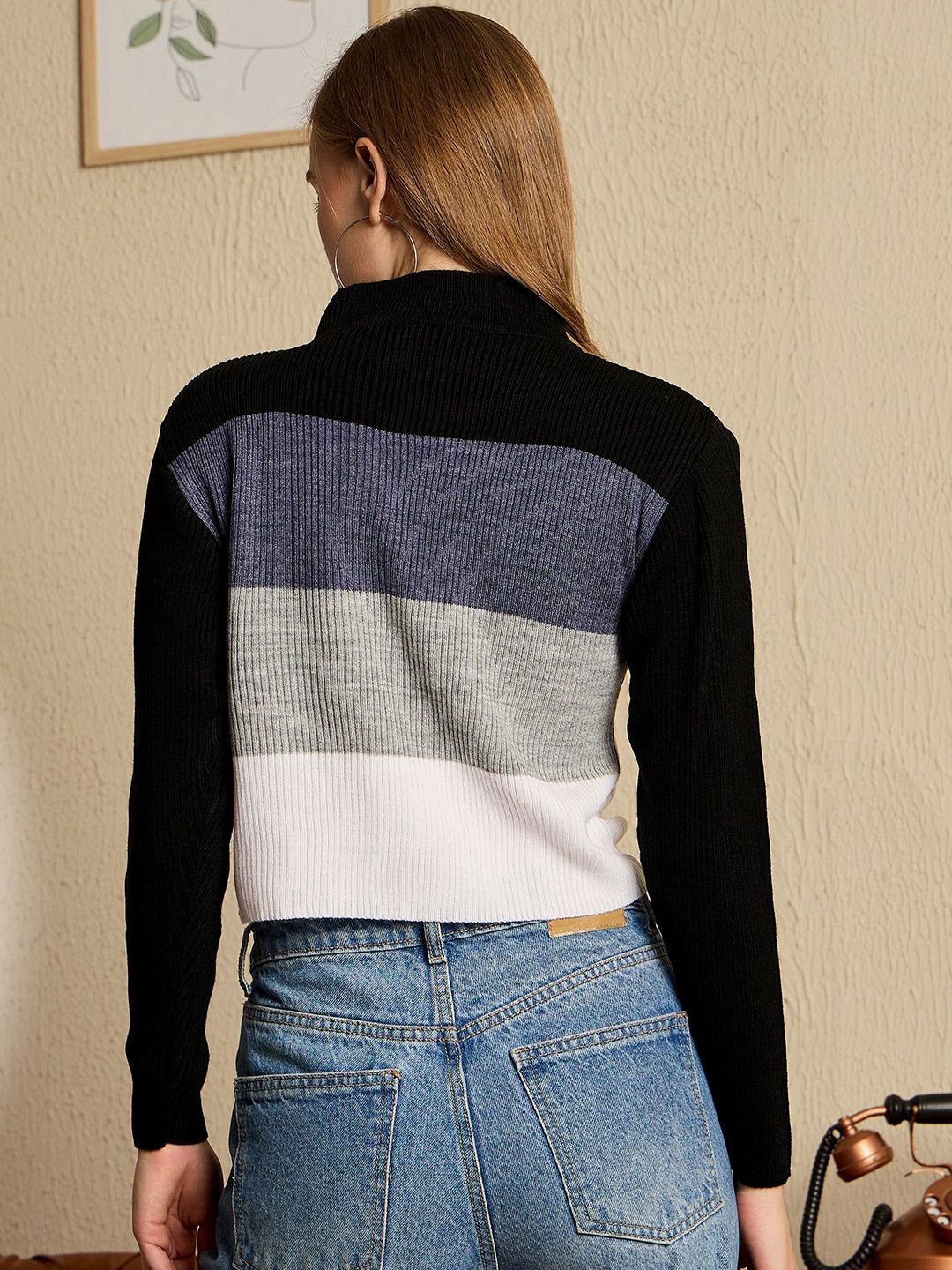 Berrylush Women Colourblocked Crop Pullover