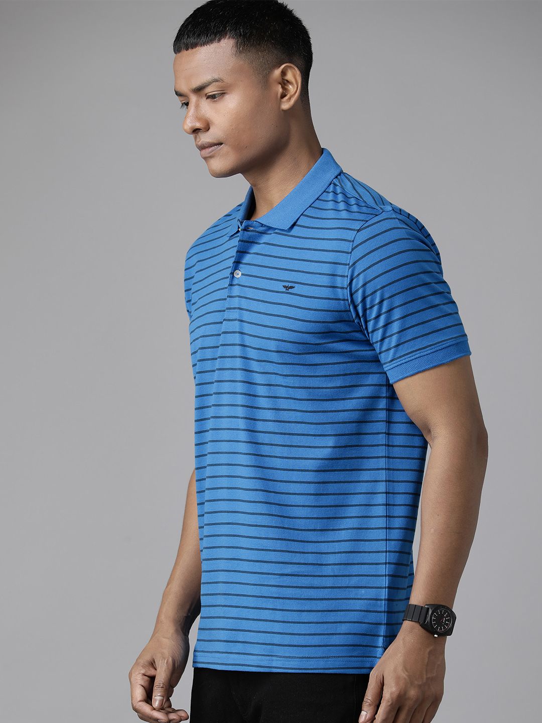 Park Avenue Men Striped Polo Collar Slim Fit T-shirt