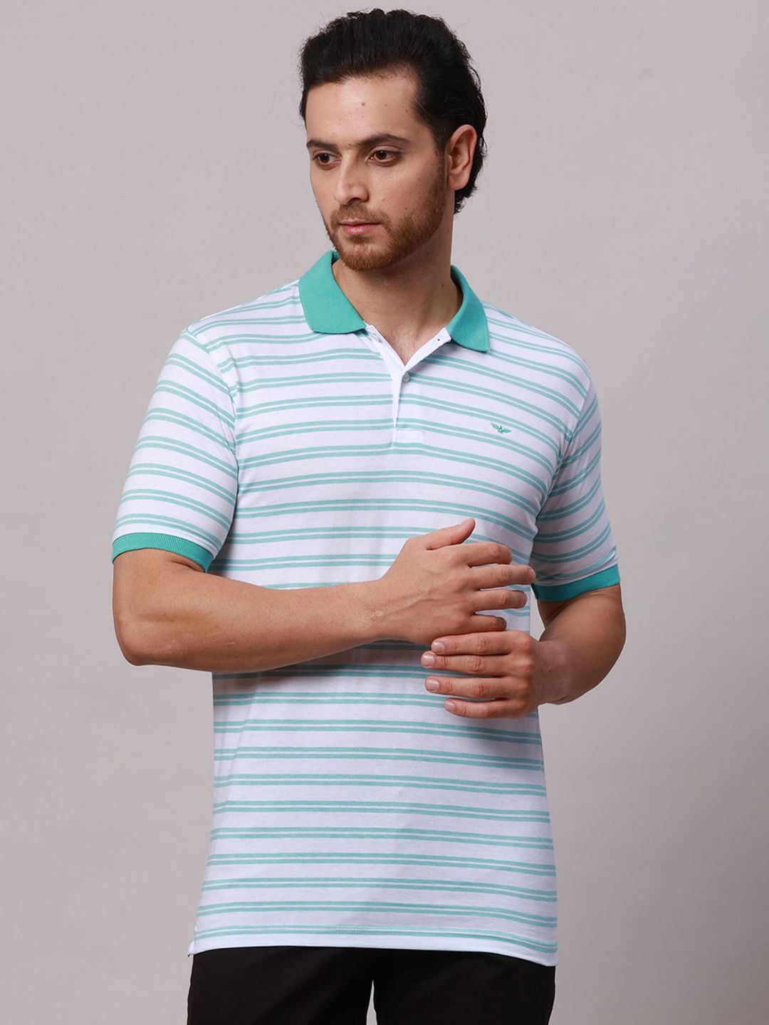 Park Avenue Men Striped Polo Collar Pockets Slim Fit T-shirt