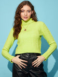STREET 9 Green Cable Knit Self Design Turtle Neck Acrylic Crop Pullover Sweater