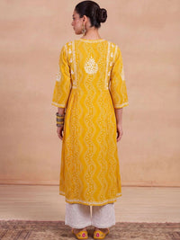 House of Chikankari Women Embroidered Chikankari Kurta