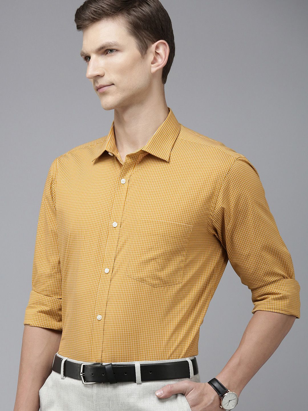 Park Avenue Slim Fit Micro Checked Pure Cotton Formal Shirt