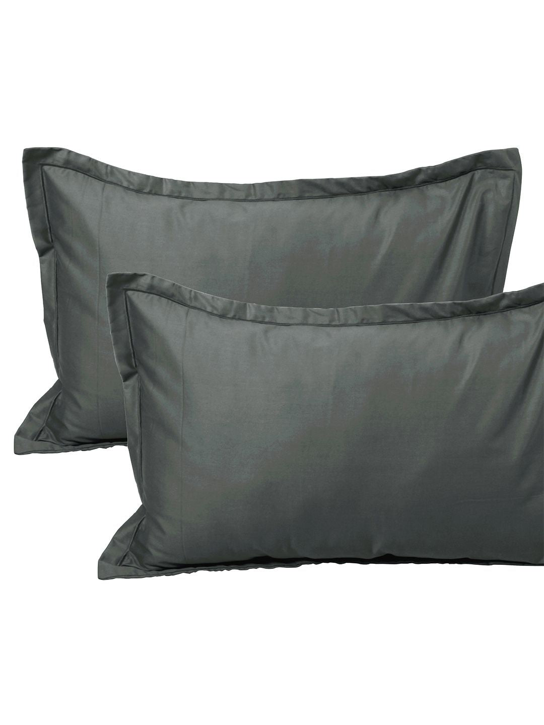 Story@home Off White Blue 210 TC King Bedsheet with 2 Pillow Covers