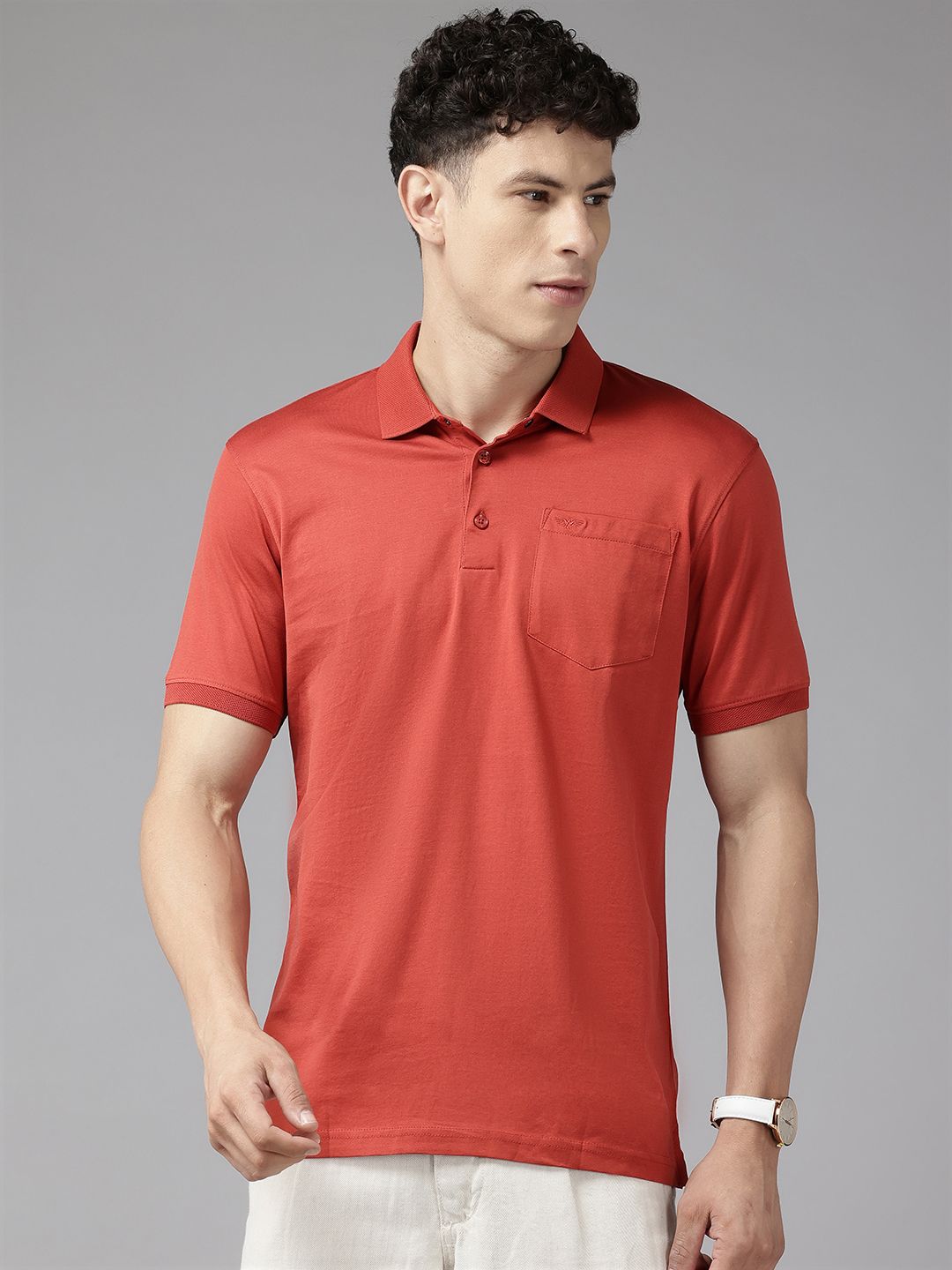 Park Avenue Men Pure Cotton Polo Collar Slim Fit T-shirt