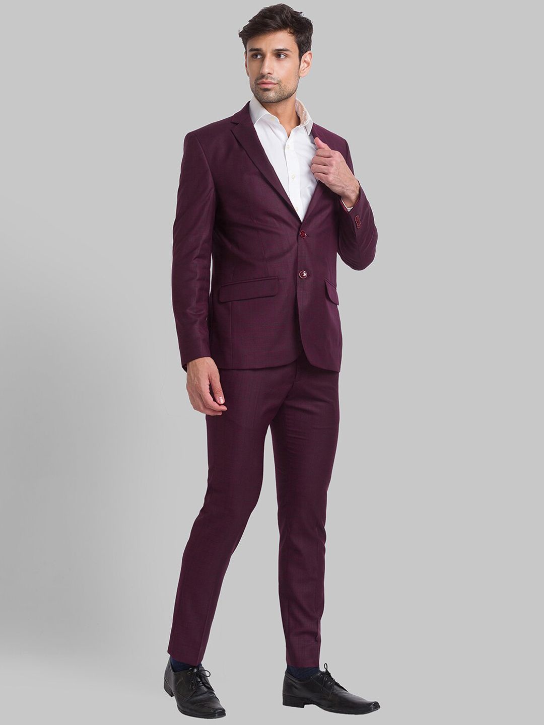 Park Avenue Men Checked Super 2 Piece Formal Suit