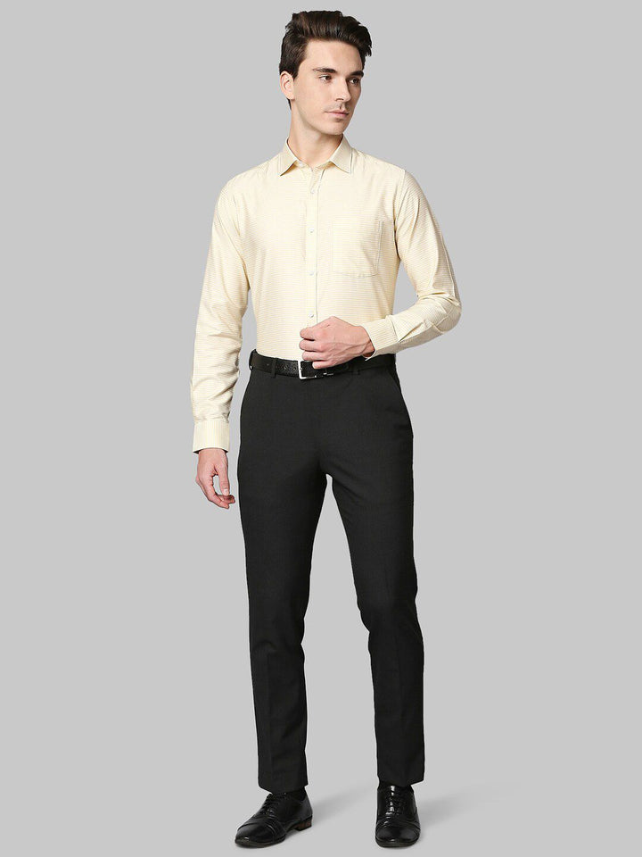 Park Avenue Men Yellow Slim Fit Cotton Formal Shirt