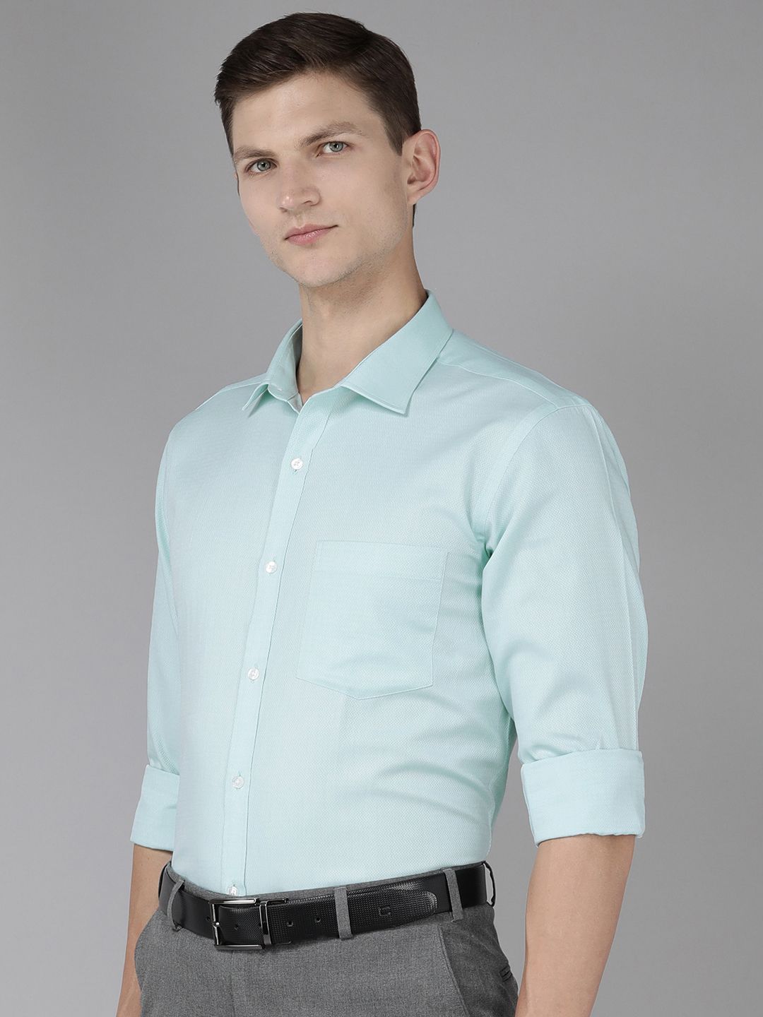 Park Avenue Pure Cotton Slim Fit Self Design Textured Formal Shirt