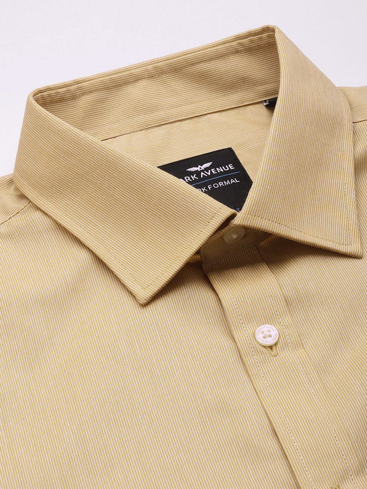 Park Avenue Slim Fit Pinstripes Opaque Formal Shirt