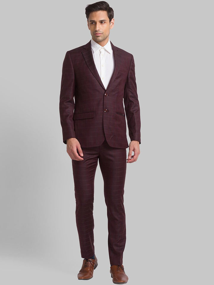 Park Avenue Men Checked Single Breasted Two Piece Formal Suit